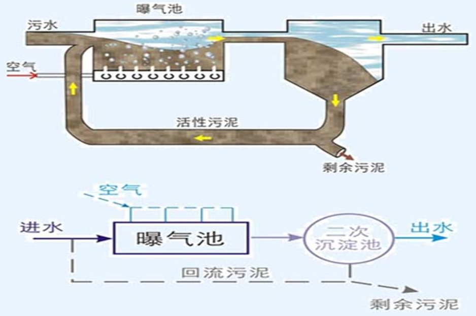 ‌活性污泥法